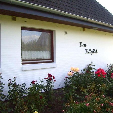 Hooge In The Haus Halligblick Dagebull Bagian luar foto