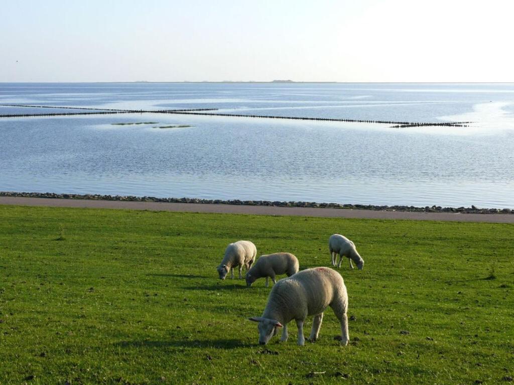 Hooge In The Haus Halligblick Dagebull Bagian luar foto